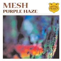 Mesh - Purple Haze