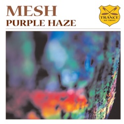 Mesh - Purple Haze