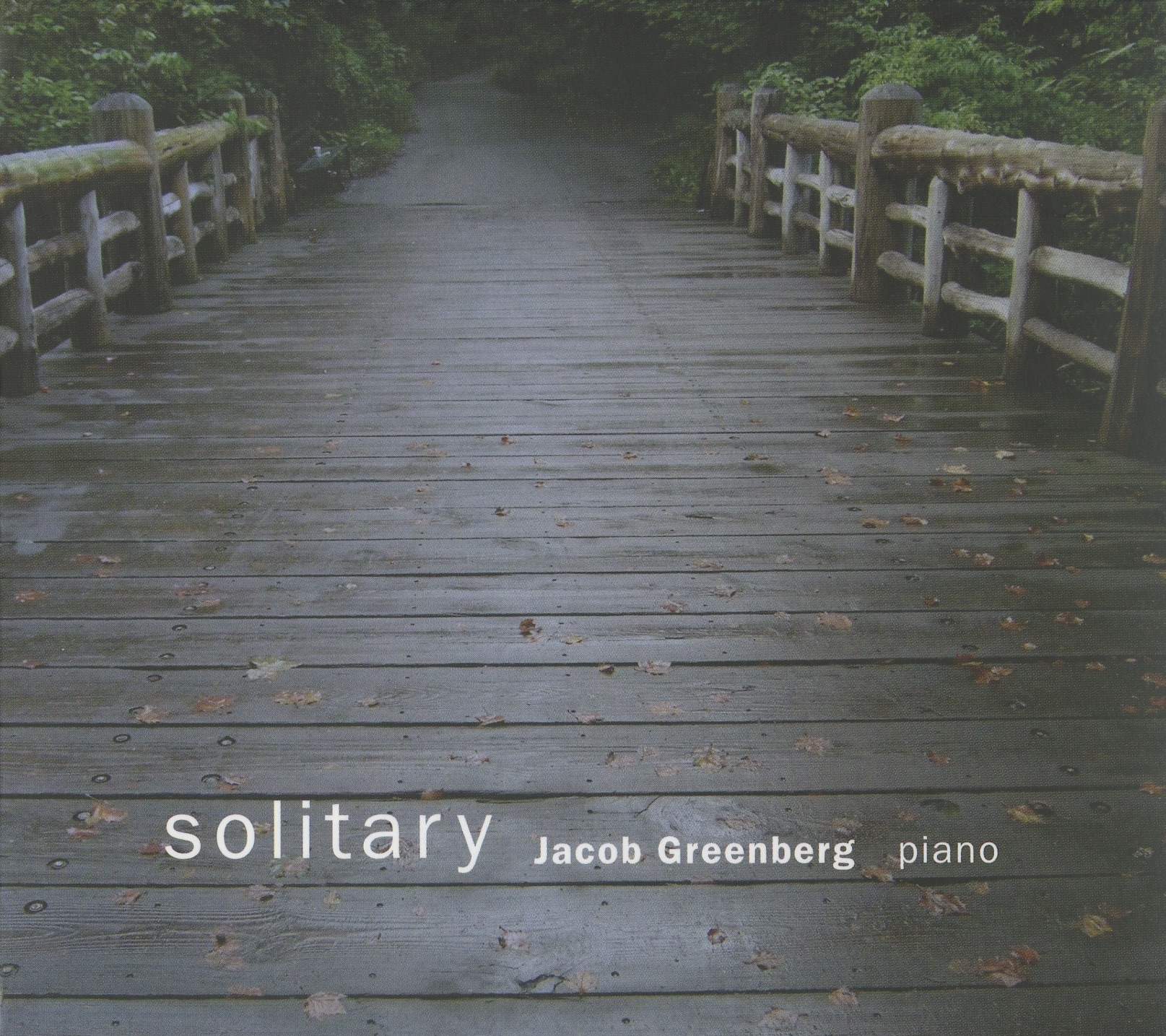 Solitary by Jacob Greenberg album cover