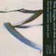 The Eagle and the Ocean Shakuhachi