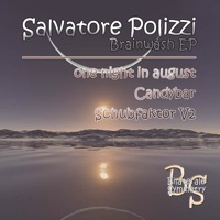Brainwash - Single - Salvatore Polizzi