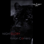 Nightglory artwork