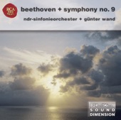 Dimension Vol. 5: Beethoven - Symphony No. 9 artwork