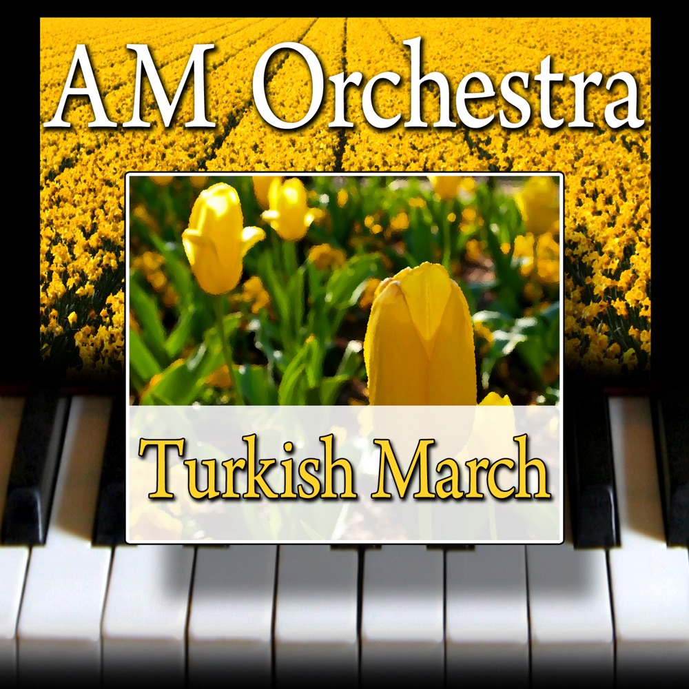 Обложка альбома «Turkish March - Single» — AM Orchestra