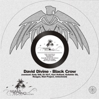 Black Crow - EP - David Divine