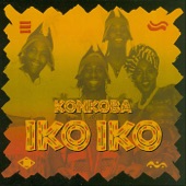 Iko Iko (Radio Edit) artwork