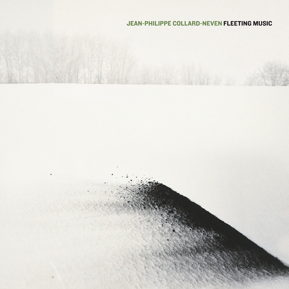 Обложка альбома «Fleeting music» — Jean-Philippe Collard-Neven