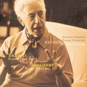 Piano Trio No. 2, Op. 100 in E-Flat: Andante con moto