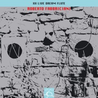 XX Live Dream Flute - Roberto Fabbriciani