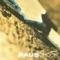 Chock (Edit) - Paus lyrics