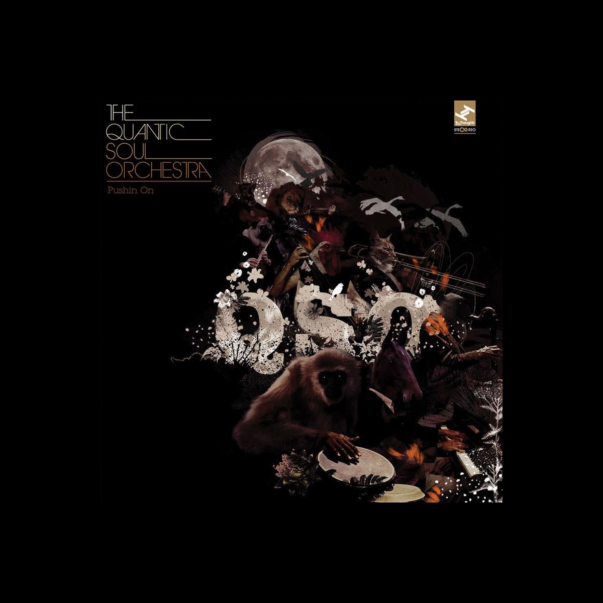 Pushin On – Album von The Quantic Soul Orchestra – Apple Music