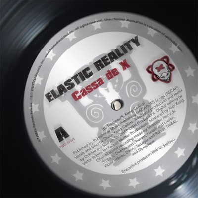 Elastic Reality