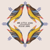 Mr Little Jeans - Single Ladies bild