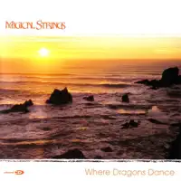 A Poet's Love — Magical Strings