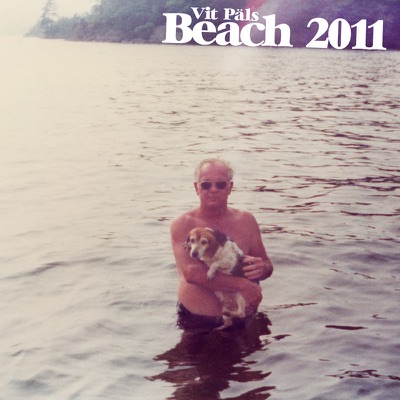Beach 2011 - Single