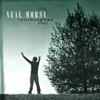 Testimony 2 - Neal Morse new Single