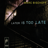 Later Is Too Late - Marc Bischoff