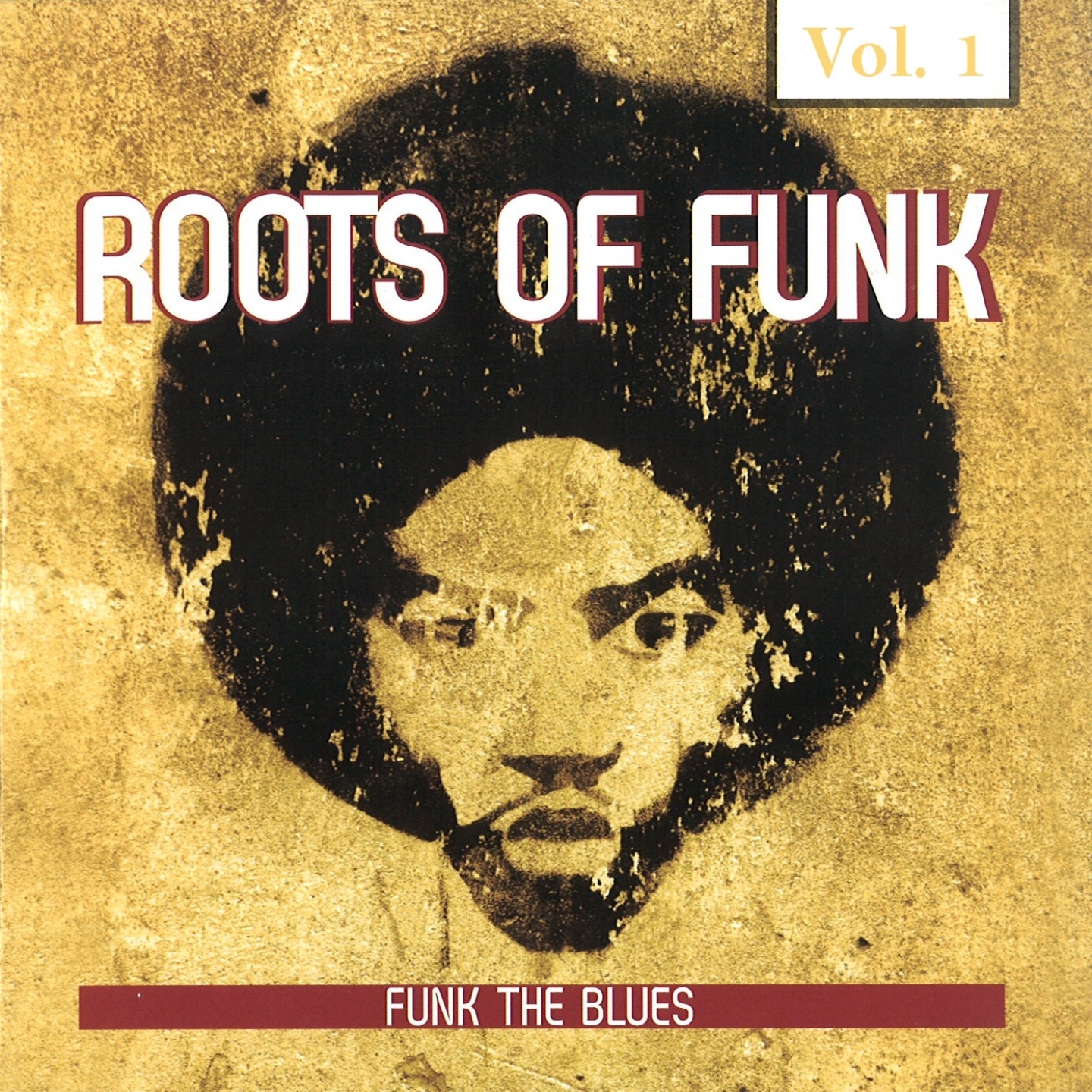 Roots of Funk, Vol. 1 (Funk the Blues)