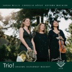Trio fuer Klavier, Violine und Horn, Eb-Dur, op. 40: I. Andante - Poco piu animato