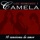 Camela-Lagrimas de Amor