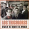 Cuando Pulso Mi Guitarra - Los Tricolores lyrics