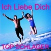 Partysingers - The United Dance People - Verdammt, Ich Lieb Dich (Coverversion - Im Original von: Matthias Reim)