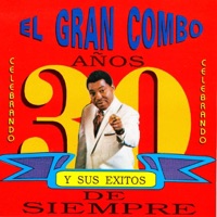 Para todo el mundo rumba