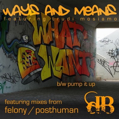 What I Want / Pump It Up - EP
