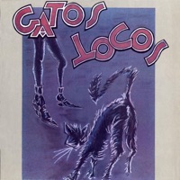 EXTRAÑO EN EL PARAISO