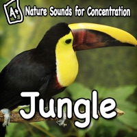 Nature Sounds for Concentration - Jungle - Single - Study Music