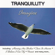 Imagine - Paul Brooks