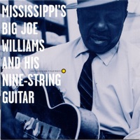 Mississippi's Big Joe Williams and His Nine-String Guitar - Big Joe Williams