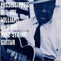 King Biscuit Stomp — Big Joe Williams