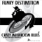 Crazy Mushroom Blues (Timewarp Inc Remix) - Funky Destination lyrics