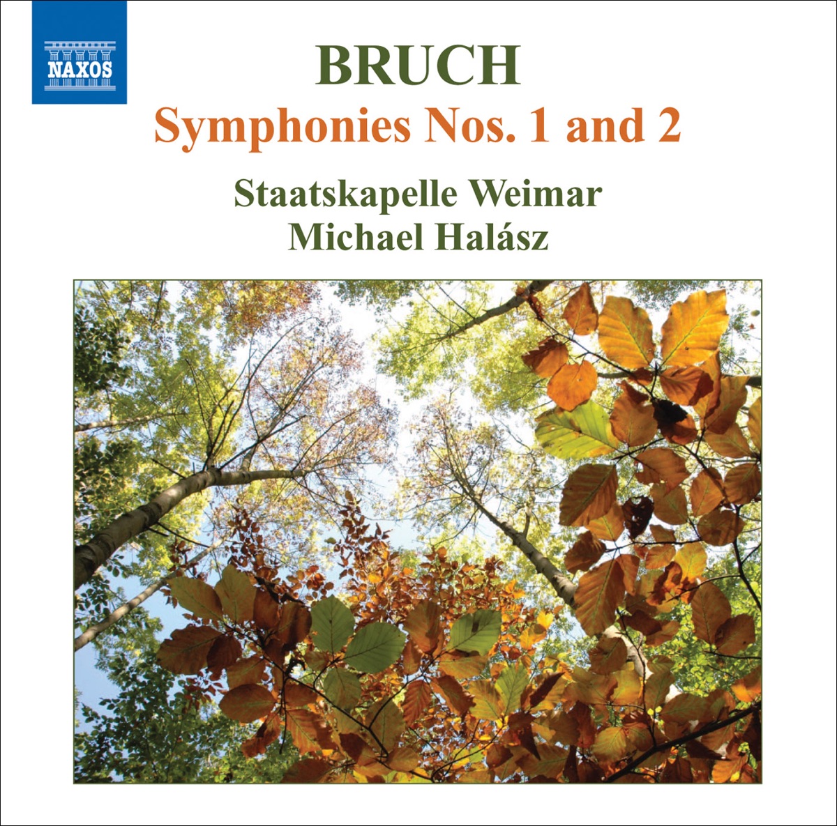 Bruch: Symphonies Nos. 1 and 2 cover art