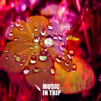 Flow - Iris