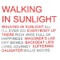 Long Journey - Walking In Sunlight lyrics