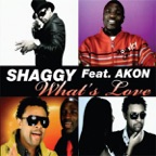 What's Love