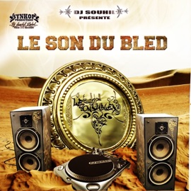 La maladie d'amour (feat. Cheb Hakim) Rim'K
