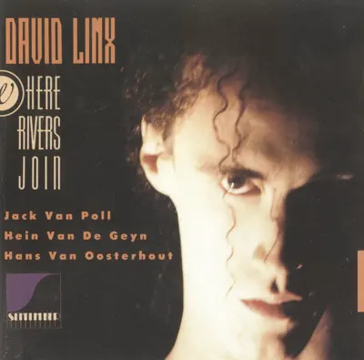 Listen to Where Rivers Join by David Linx
