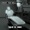 what the hell are you thinking - 