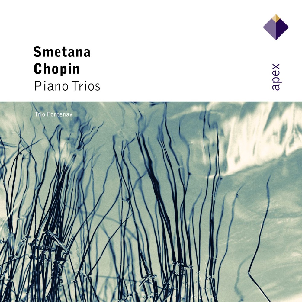 Обложка альбома «Chopin: Piano Trio & Smetana: Piano Trio» — Trio Fontenay