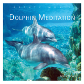 Cover art for Dolphin Meditation (gemafrei) by Janina Parvati