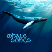 Whale Songs - John Grout