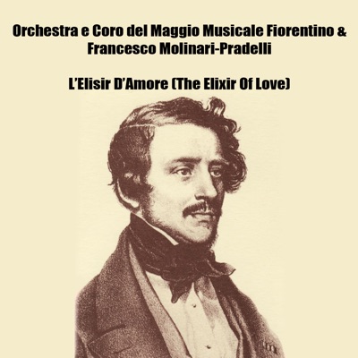 L'Elisir D'Amore (The Elixir Of Love)