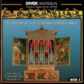 Organ Music - Cavazzoni, M. - Fogliano, J. - Antico, A. - Valente, A. - Macque, G. (Historic Organ Series, Vol. 7) artwork