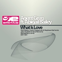 What Is Love (feat. Abigail Bailey) - EP - Agent Greg