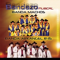 Bandazo Músical - Banda Machos & Banda Arkangel R-15