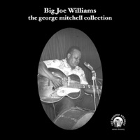 The George Mitchell Collection - Big Joe Williams