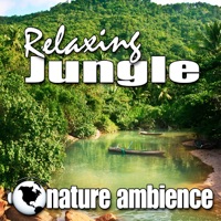Relaxing Jungle (Nature Sounds) - Single - Nature Ambience
